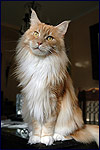 Februar 2010