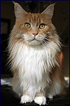 Februar 2010