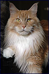 Februar 2010