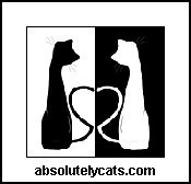Absolutely Cats